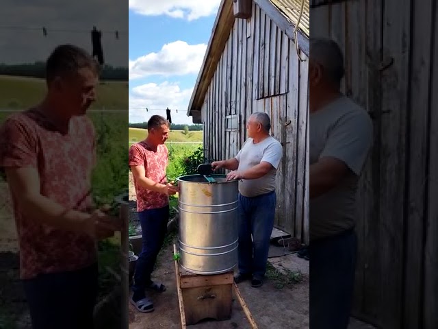 Балык Бистәсенең Иванай авылындагы тәҗрибәле умартачылар  бал аерту белән мәшгульләр