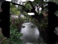 Bill- 等待爱(Waiting For Love) - RedHeadWithCurls Bill- 等待爱(Waiting For Love)