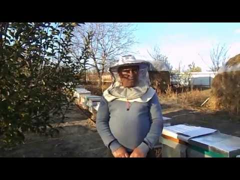 52.Ultimul suflu al varroa.Iernare 2 în 1.