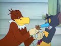 Tom Jerry Season 2 Episode 9 Part 3 Of 3 Flirty Birdy