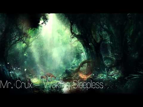 Mr. Crux - Waking Sleepless