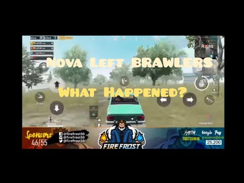 Nova left Brawlers | What happened | Static gaming