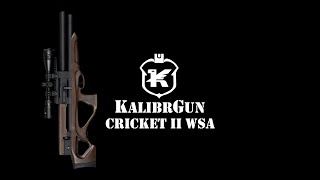 Vzduchovka Kalibrgun Cricket II Standart WSA SMOOTH 6,35mm