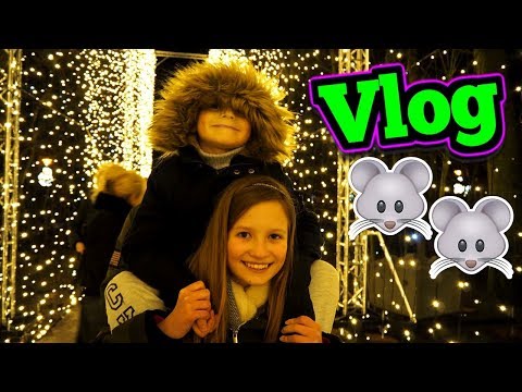 UCIECZKA MYSZEK, JUMPCITY I KAMIL STOCH ❤ CookieMint