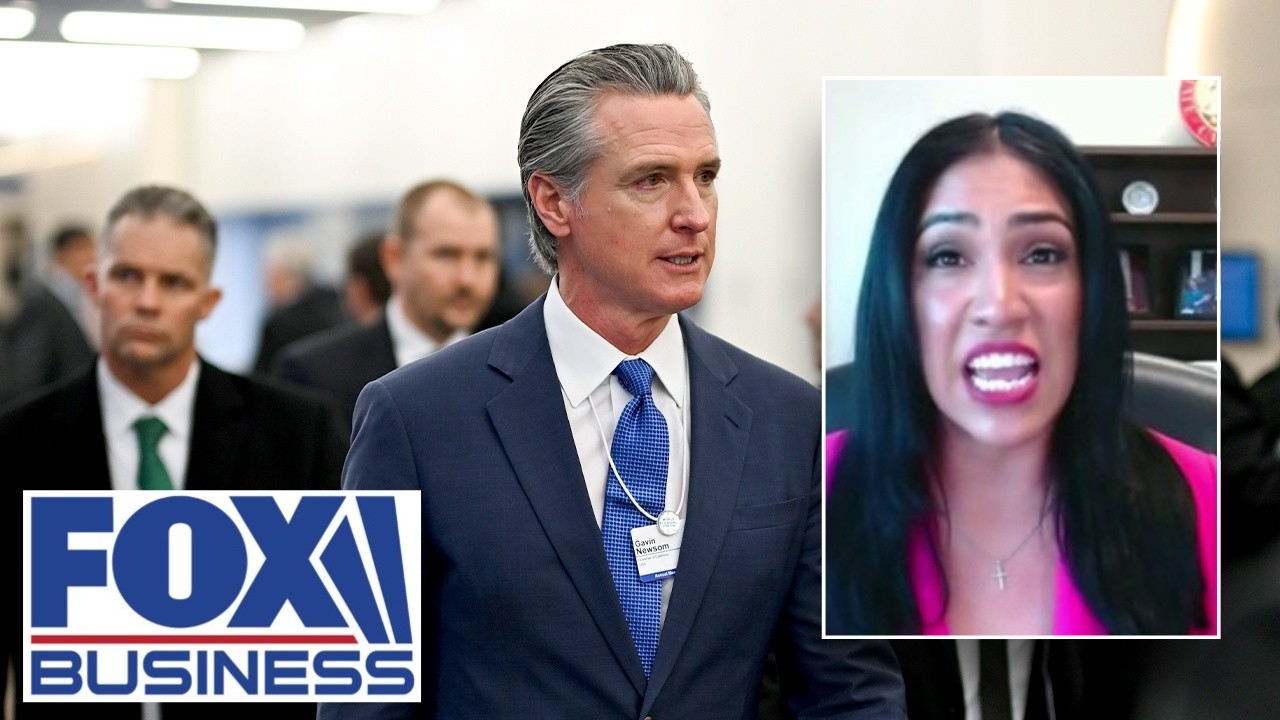 'CATASTROPHIC INSTABILITY': California state senator goes viral for slamming Dems