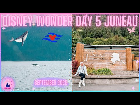 Thumbnail for Disney Wonder Cruise Vlog Alaska Day 5 Juneau Whale Watching Shops September 2025 Nature Excursion