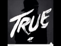 Avicii ft Audra Mae - Long Road To Hell (#True ...