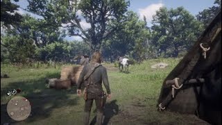 【RDR2 実況】＃14　ここを、キャンプ地とする！ための、下見に行く。