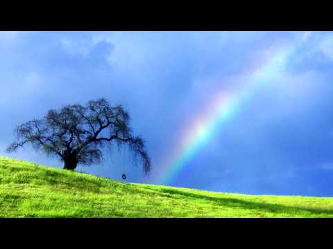 Dj Panik Feat M-Rode - Miss You