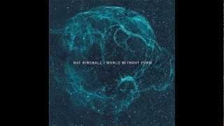 The Black  Ark      NAT BIRCHALL