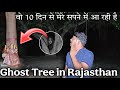 Real Ghost Tree Investigated At Night She Wants To Stay With Me SHOCKING FOOTAGE RkR History