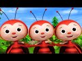 Tập tầm vông, Chú khỉ con, Nhạc thiếu nhi remix sôi động