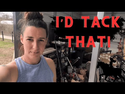 Horse Lane And Tack Room