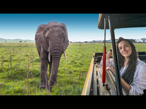 The Truth About a Serengeti Safari (5 Things You Should Know)