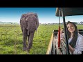 The Truth About A Serengeti Safari 5 Things You Should Know
