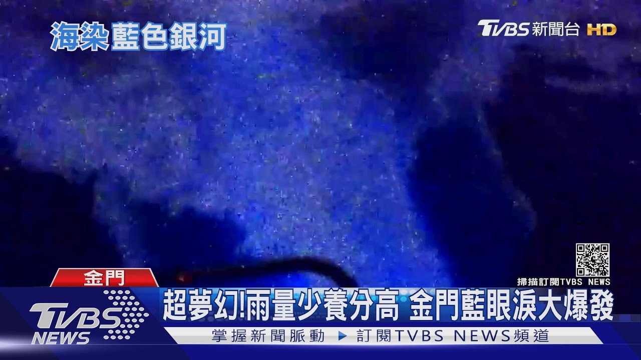 超夢幻銀河海!金門藍眼淚大爆發 6大追淚勝地曝光