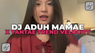 Download lagu DJ TANTAE X ADUH MAMAE || DJ TREND DANCE VELOCITY SOUND BRAM FT AP YANG KALIAN CARI CARI !!!  mp3