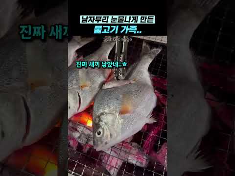 남자무리 눈물나게 만든 물고기 가족..