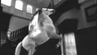 YNGWIE MALMSTEEN - Save Our Love