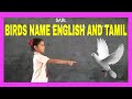 Birds Name Tamil And English Birds Name For Kids In English With Pictures And Tamil Meanings