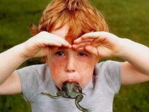 Hässlich Geckohunter