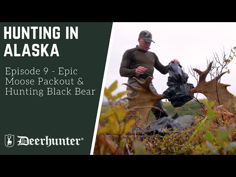 chasse en Alaska