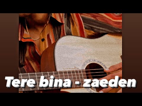 Tere bina - zaeden cover song
