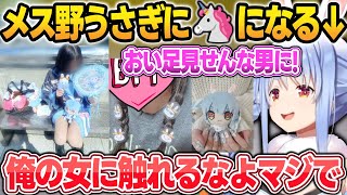 【参戦服鑑賞】野うさぎが群れる事と、メス野うさぎに近づく輩を絶対に許さないぺこーら【兎田ぺこら/ホロライブ/切り抜き】