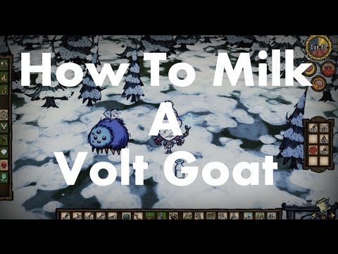 Don't Starve: How To Milk a Volt Goat