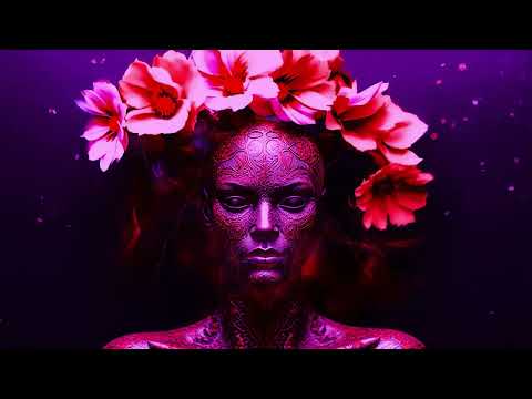 Barclay Crenshaw @ Wakaan Festival 2023 [Audio/Visual Trip] 4K