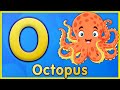 Letter O Octopus Orange Owl Oval Learn The Letter O