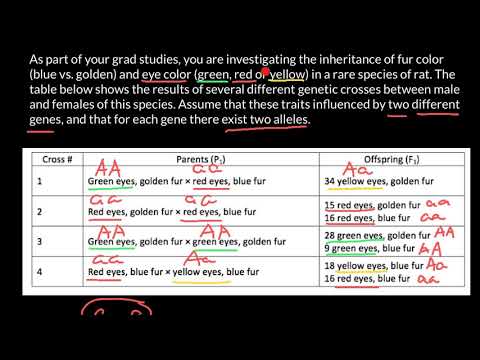 How to solve genotype phenotype crossing problems