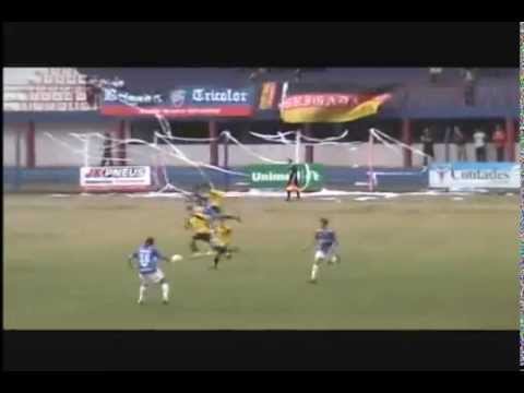 Fabricio Santos De Paula  Meio Campo