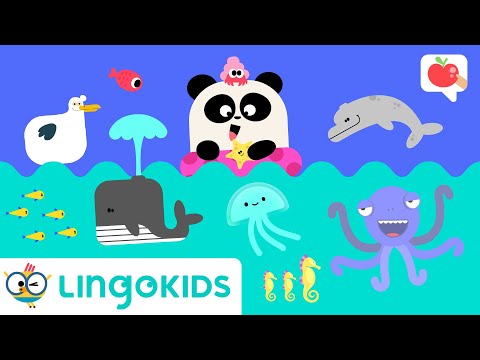 SEA ANIMALS for Kids 🌊🐳 VOCABULARY, SONGS and GAMES | Lingokids