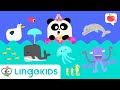 SEA ANIMALS For Kids VOCABULARY SONGS And GAMES Lingokids