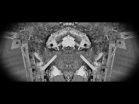 DISBRIGADE - Peones (Video Oficial - DBeat / Crust Punk)