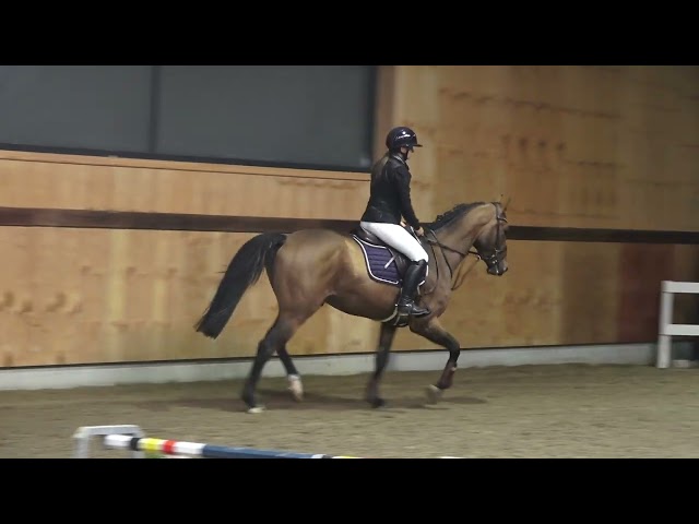 jumping under the saddle