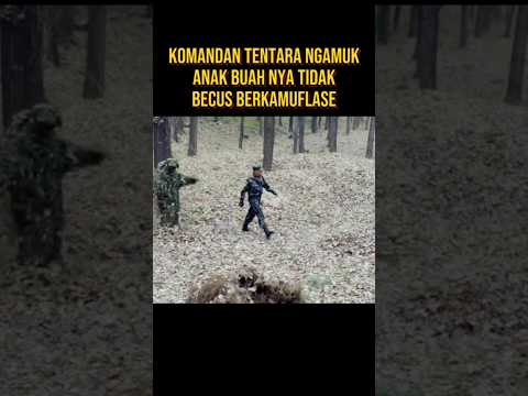 PARA TENTARA BERKAMUFLASE DI SEMAK SEMAK #alurceritafilm #film
