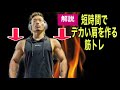 短時間で効率良くデカい肩を作る筋トレ!