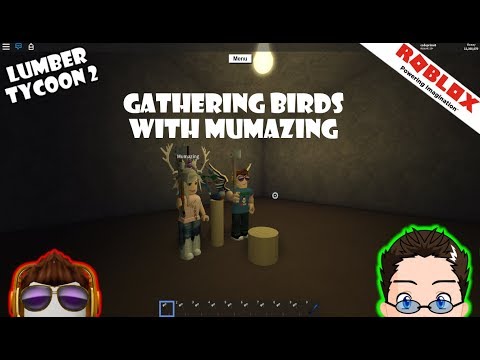Roblox Lumber Tycoon 2 Gathering Birds With Mummy - roblox lumber tycoon 2 alpha axe of testing location youtube
