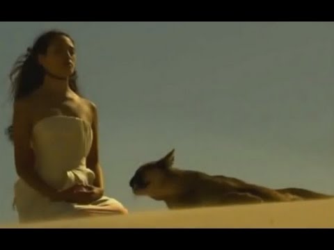 Pandera - In My Dreams (extended version)