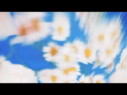 Lost in Pacific - She Told Me