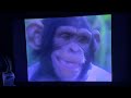 Kidsongs A Day With The Animals 1986 VHS