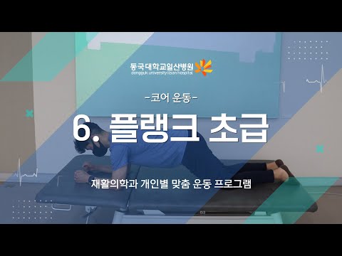 6. 코어 운동