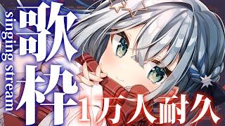 [Vtub] 小箱or個人Vtuber 0226 DD串