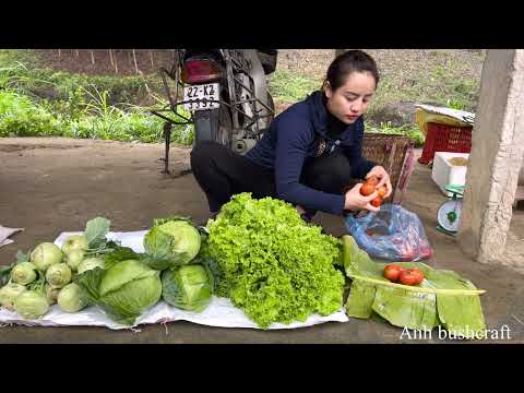 harvest kohlrabi, tomatoes, lettuce to sell at the market