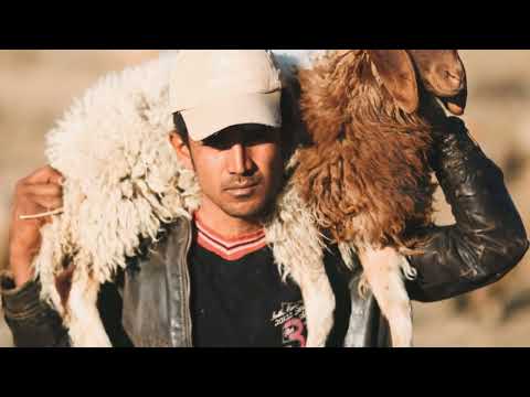 The Legend of the Wawel Dragon!