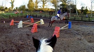 Robin jumps excitable Zubie! - Helmet Cam/RAWS
