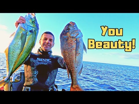 This is Winter spearfishing at it's finest!!!