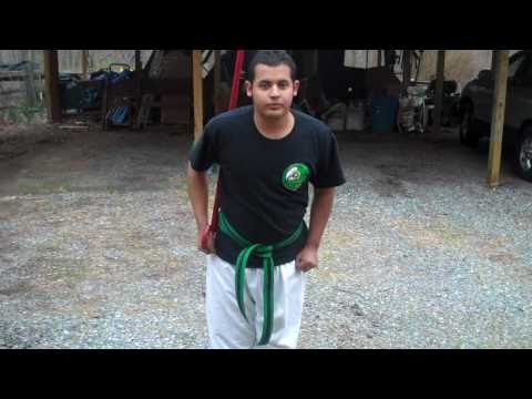 Bladimir Bonilla's Short Cane form